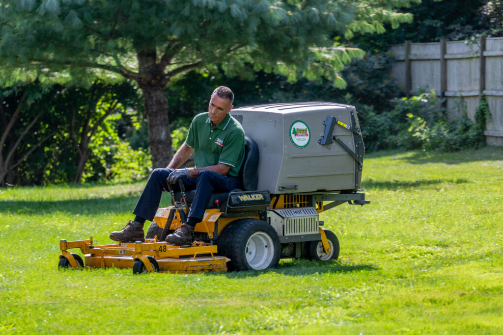 Ground Effects Employee maintaining a lawn in Marshfield Massachusetts