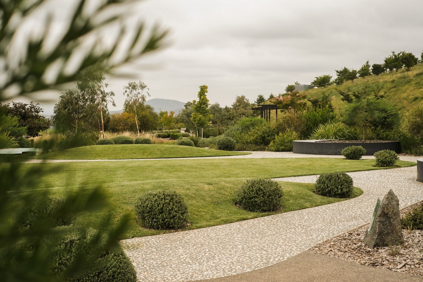 Choosing the Right Plants for Your Landscape Design